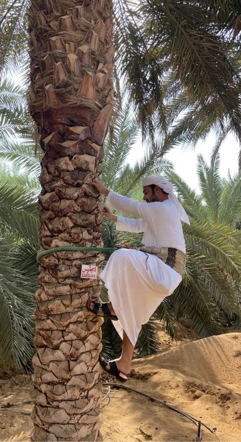 Nights ليالي 5* Liwa